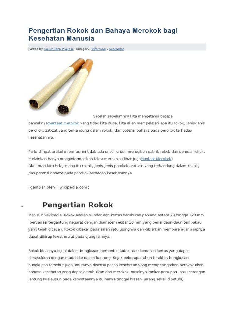 Pengertian Rokok Dan Bahaya Merokok Bagi Kesehatan Manusia | PDF ...