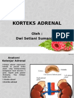 Cortex Adrenal