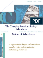 The Changing American Society: Subcultures