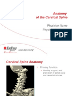 Cervical Anatomy