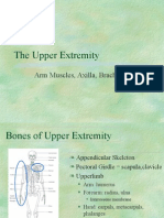 Upper Extremity