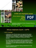 CITES and Elephants