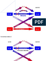 2 Ciclo