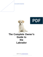 Labrador Owner's Guide E-Book