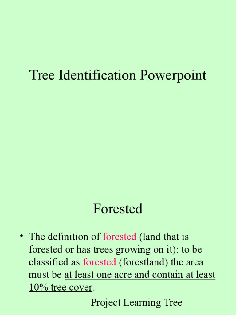 Tree Identification Guide: Key Features | PDF | Pinophyta | Trees