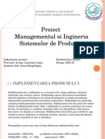 Proiect Managementul Si Ingineria Sistemelor de Productie