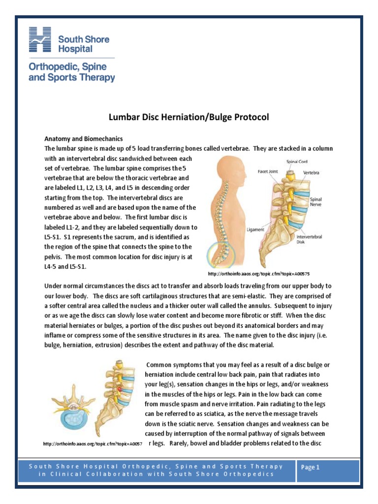 Lumbar Disc Herniation Protocol Musculoskeletal System Clinical
