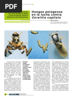 CALBIT C Ficha Técnica PDF | PDF | Agronomía | Alimentos