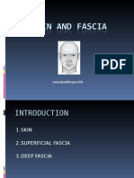 Skin & Fascia