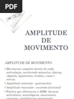 ADM Amplitude de Movimento