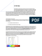 Color - Color in The Eye: Rods vs. Cones