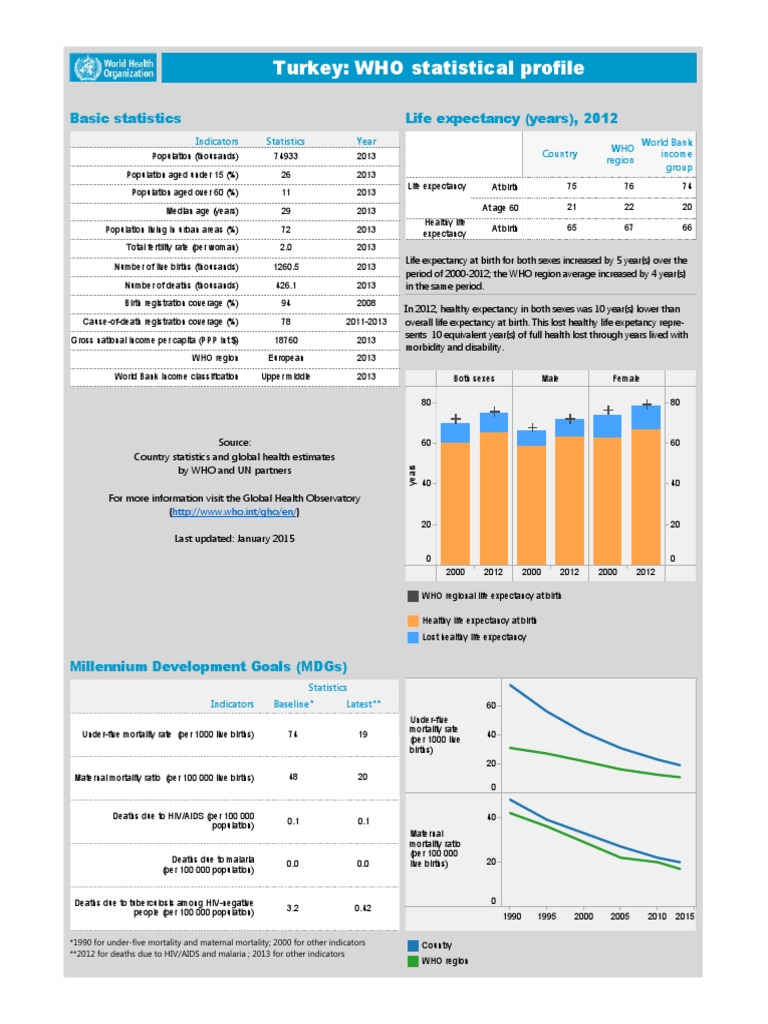 Turkey Health Statistics Overview 2013 | PDF