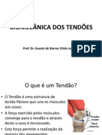 BIOMECÂNICA DOS TENDÕES