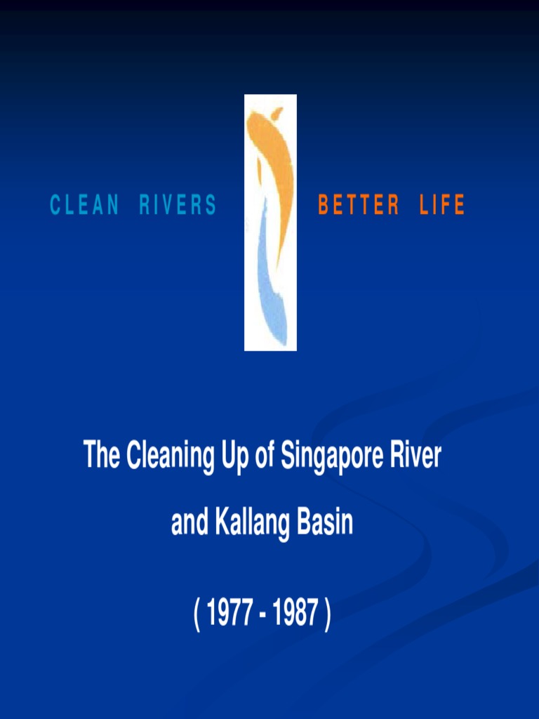 Clean River 2 | PDF | Water And The Environment | Hydrology