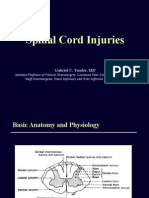 Spinal Cord Injuries: Gabriel C. Tender, MD