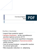 Cervical Spine Physical Examination