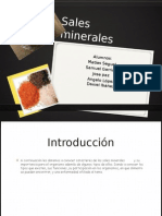 Sales minerales: funciones y enfermedades