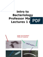 2013 MicroID Block II Bacteriology FINAL1