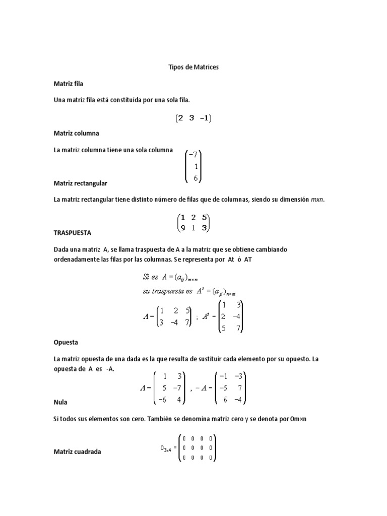 Tipos de Matrices en Álgebra Lineal | PDF