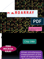 Microarray: by Febrina Icha Mahlail 0402514053