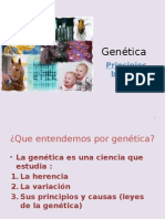 Genética básica: principios, genes, ADN y herencia