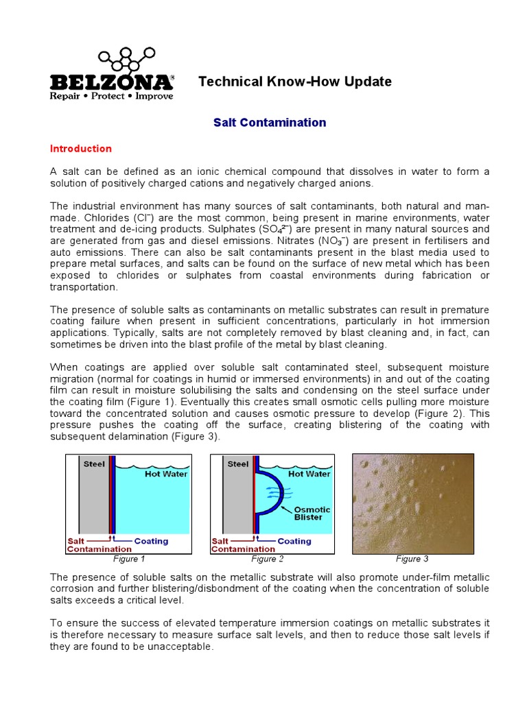 Salt Contamination Testing Methods | PDF | Sodium Chloride | Chemical ...