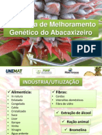 programa_abacaxizeiro.pdf