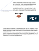 Moto Guzzi Bellagio - Manuale Utente