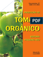 Tomate Organico