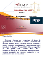 Demanda, Presupuestos Procesales, Saneamiento Procesal, Excepciones