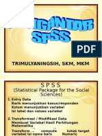 Pengantar SPSS