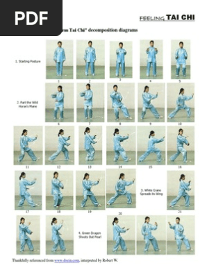 Tai Chi Moves | PDF