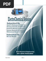 Electrochemical Sensor