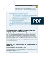 Copias de Seguridad en Oracle 11g PDF