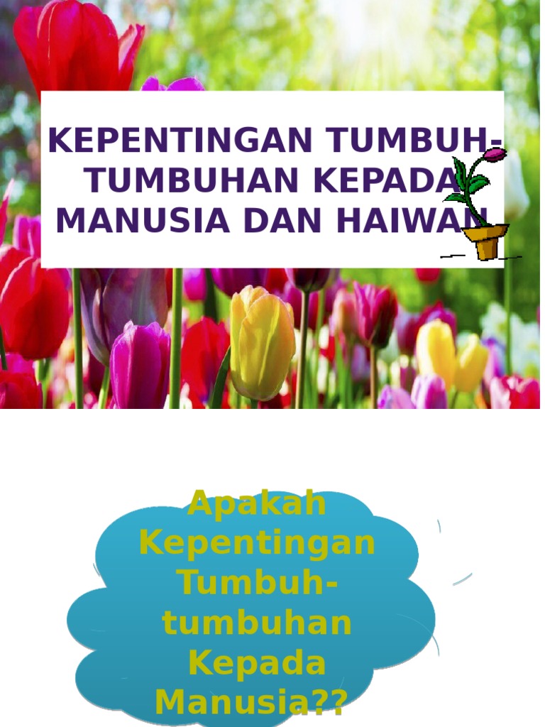 Kepentingan Tumbuh Tumbuhan