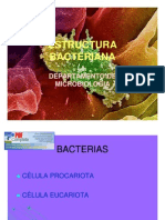 Estructura Bacteriana