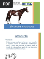 Sindrome Navicular