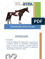 Sindrome Navicular