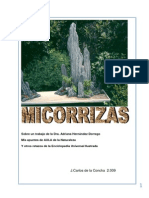 Micorrizas.y.endomicorrizas