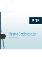 4- Sistema Cardiovascular
