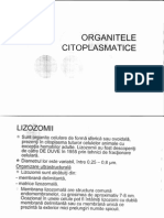 C05 - 16 - 11 - 2009 - Organitele Citoplasmatice PDF