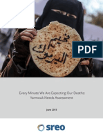 SREO Research - Yarmouk Assessment