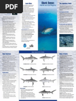 Download Shark Sense by Emmanuel Bray SN269752662 doc pdf