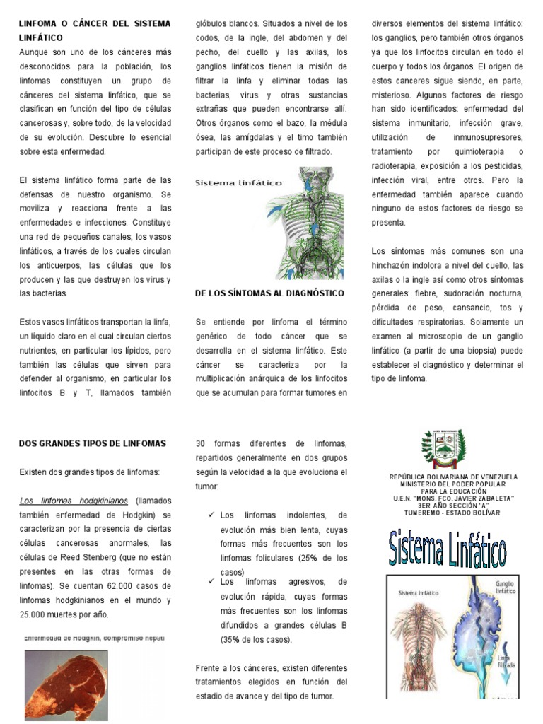 Linfoma O Cáncer Del Sistema Linfático Pdf Sistema Linfático
