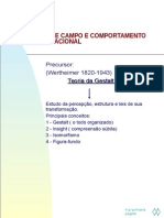 ateoriadecampoecomportamentoorganizacional-110724102656-phpapp02