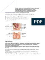 Sistem Reproduksi Wanita