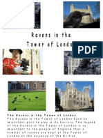 Legends of the Ravens at the Tower of London