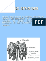 HUESO ETMOIDES