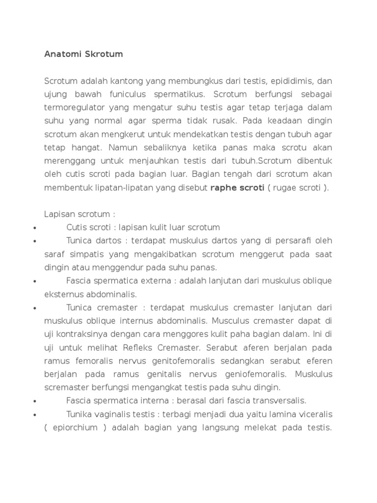 Anatomi dan Fungsi Skrotum Pria | PDF | Filsafat