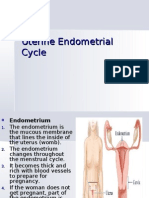 En Dome Trial Cycle